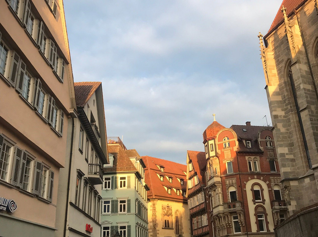 Town Hall (Rathaus)景点图片