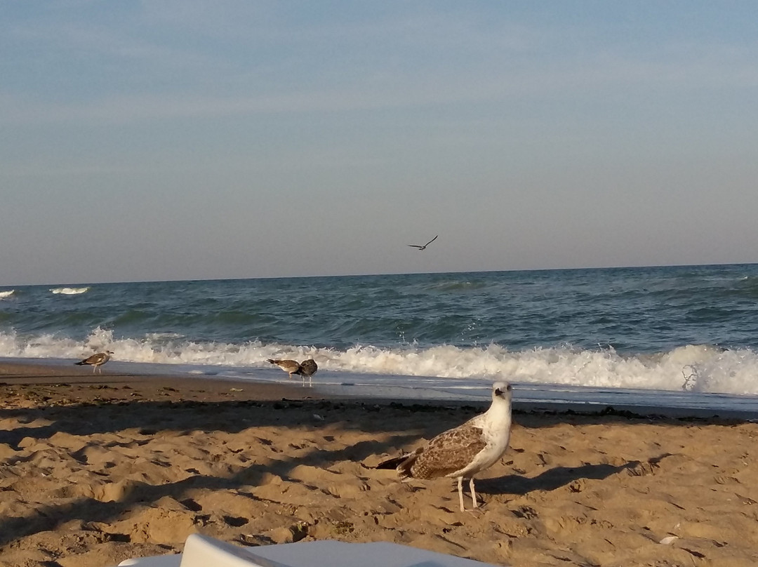 Central City Beach-Chornomorsk必去景点