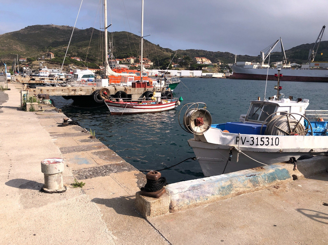 Les Poissonneries de la Côte Catalane-Port-Vendres必去景点