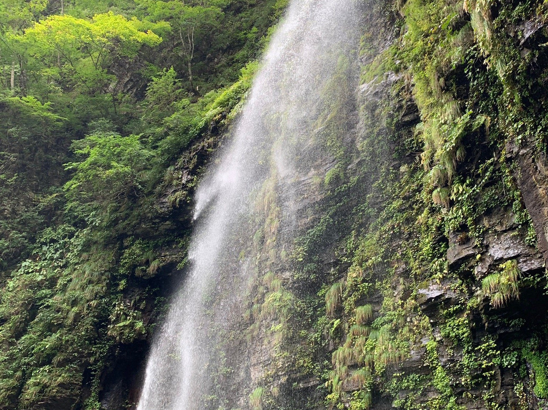 Amidaga Falls-郡上市必去景点