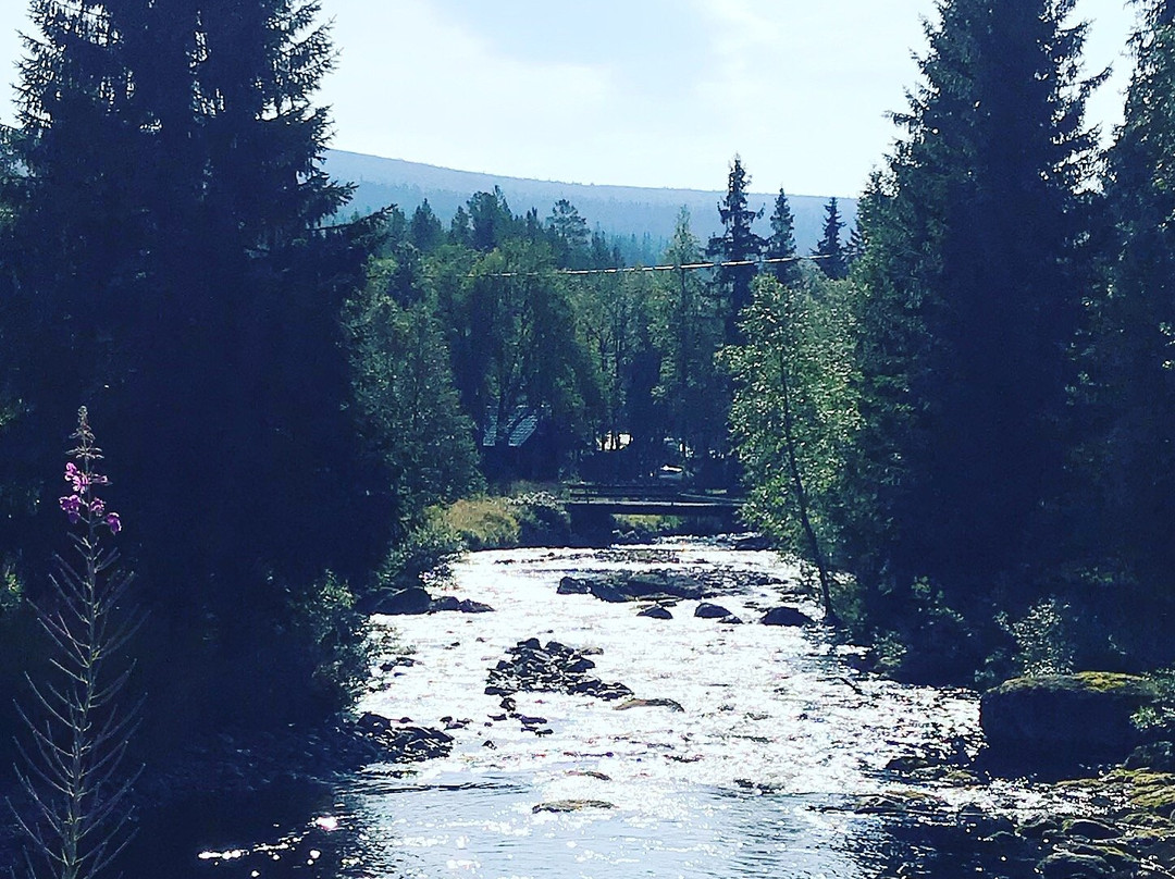 Gordalens camping