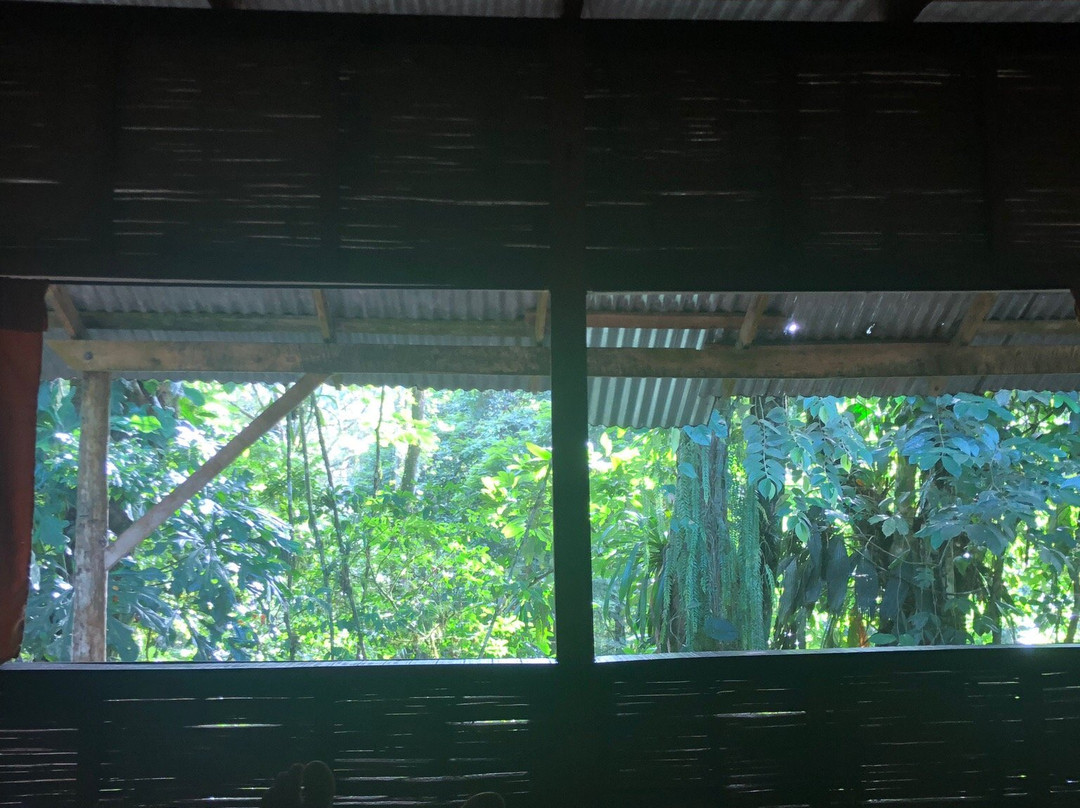 Casa Rio Blanco Eco Friendly B&B主图