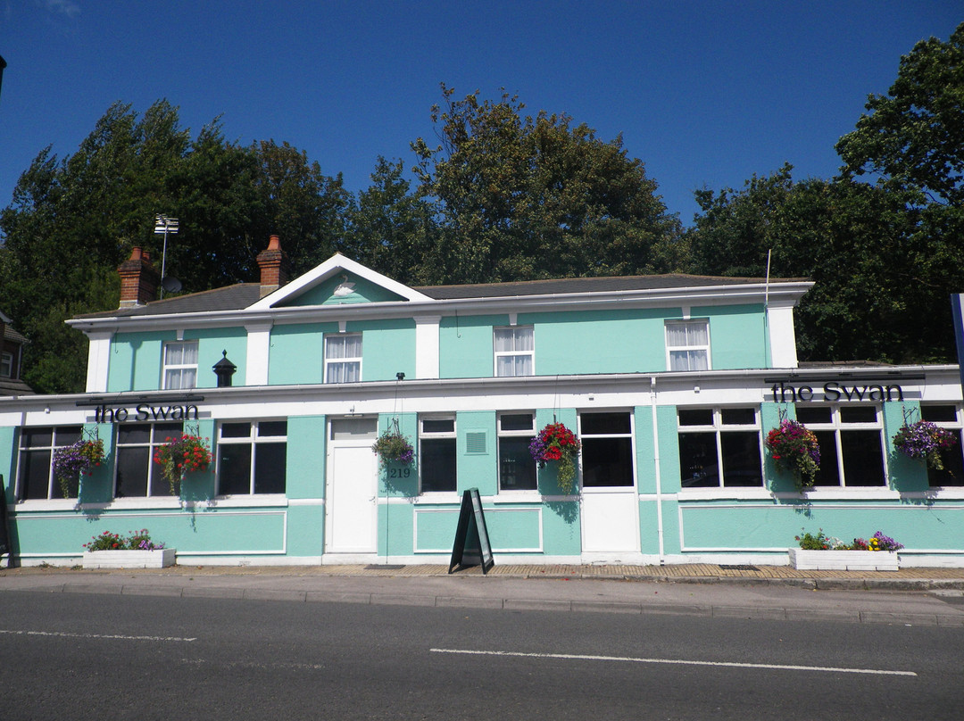 The Swan Inn主图