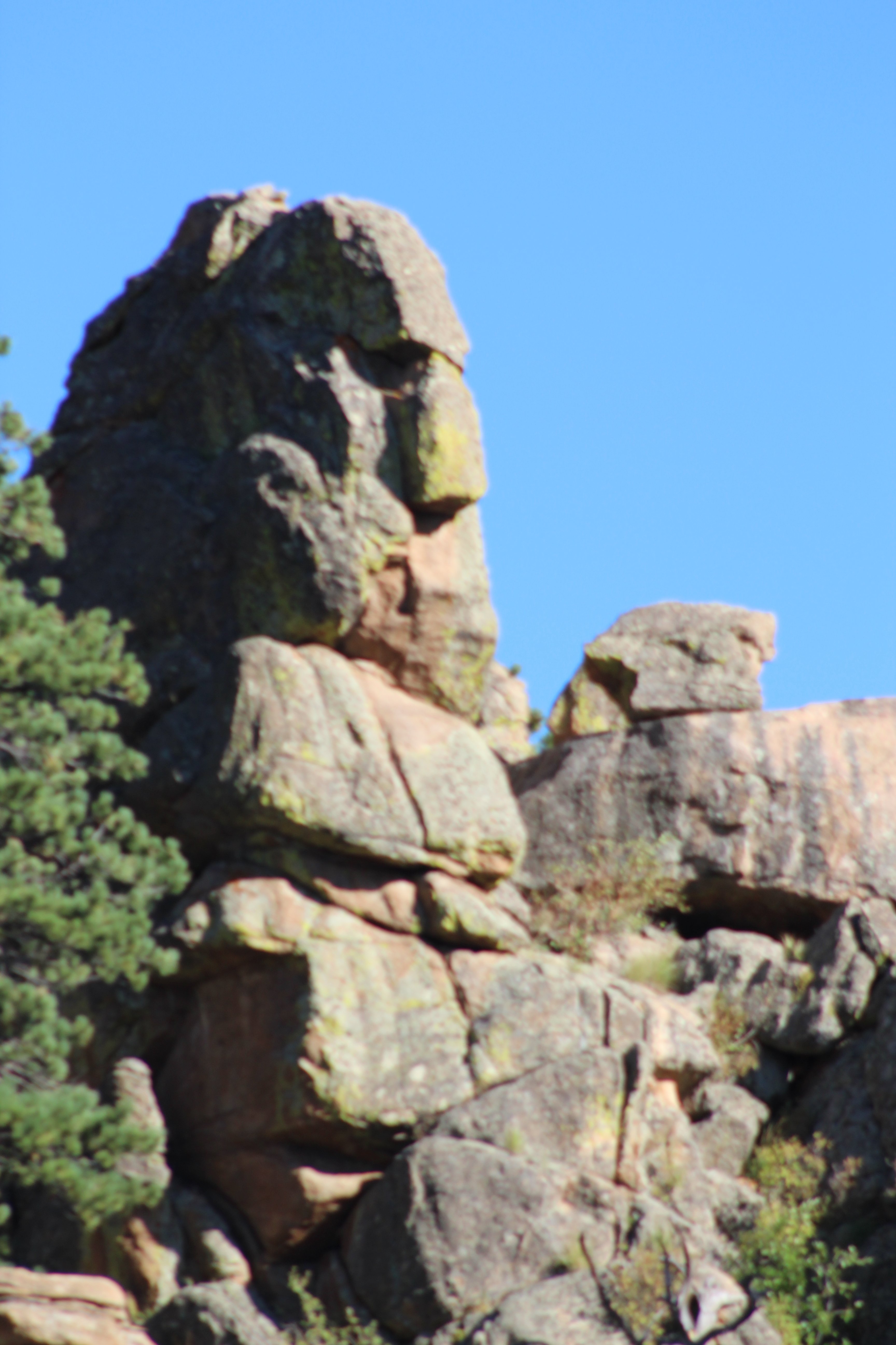 The Woodlands on Fall River-portrait