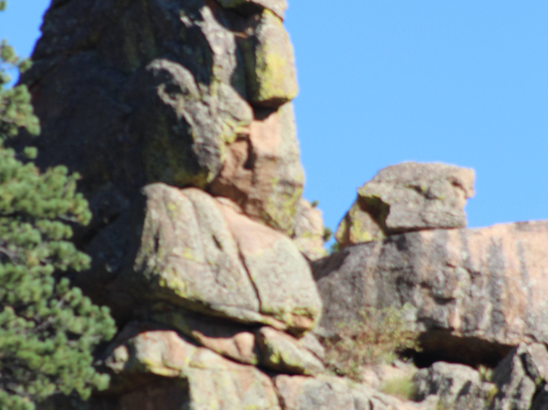 The Woodlands on Fall River主图