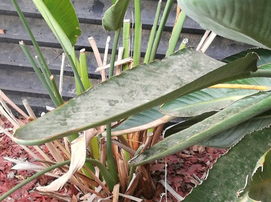 维萨利亚希尔顿恒庭酒店主图