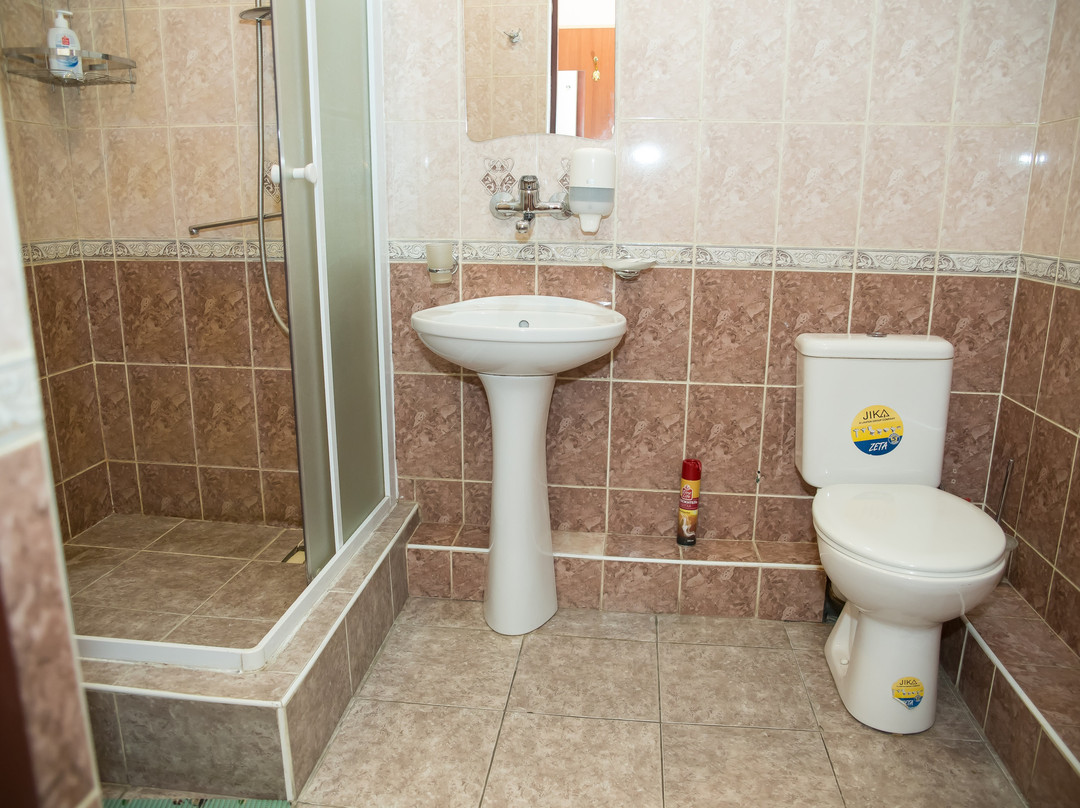 Gostinitsa Yevropa主图