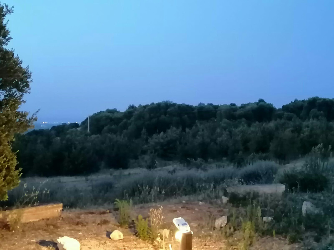 Parco Archeologico e Naturale di Santa Maria d'Agnano-奥斯图尼必去景点