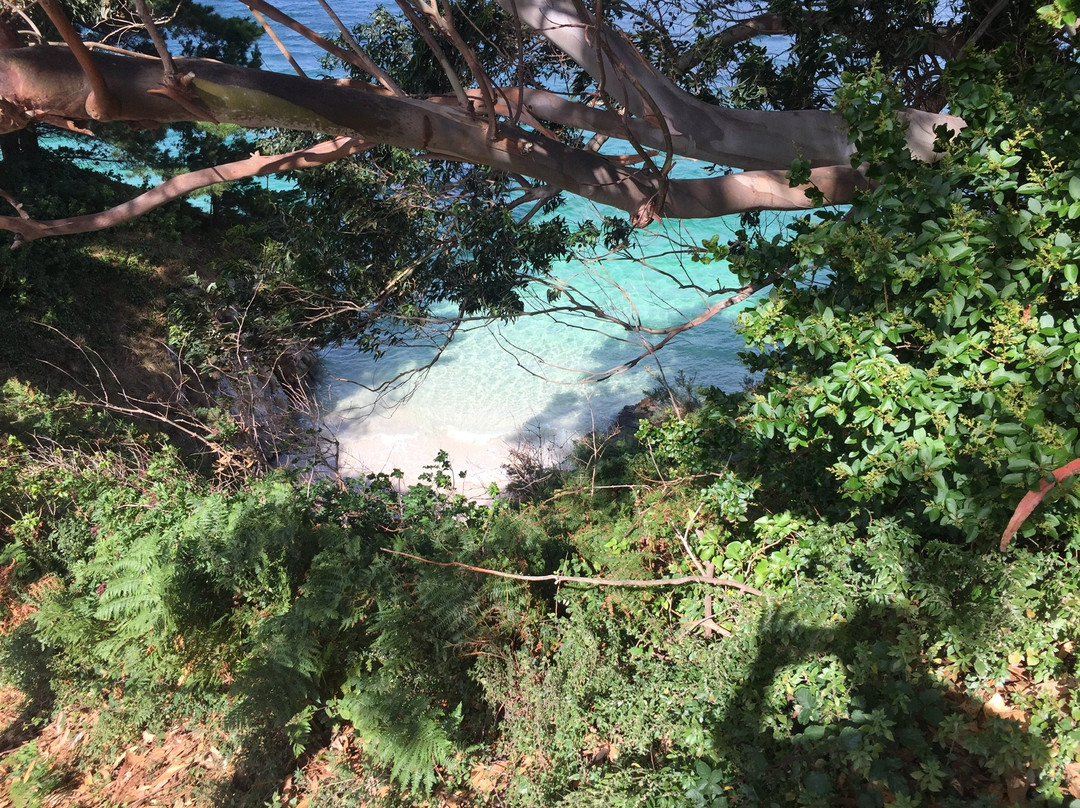 Playa Caolín景点图片