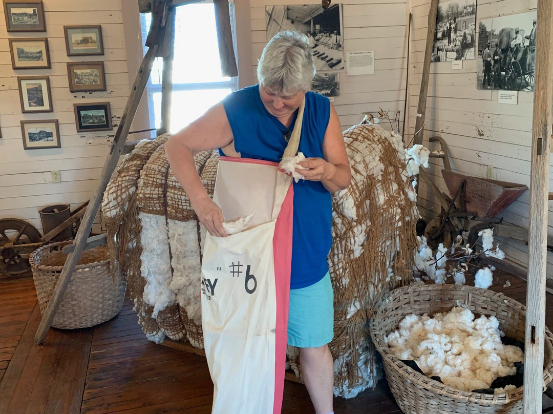 Georgia State Cotton Museum景点图片