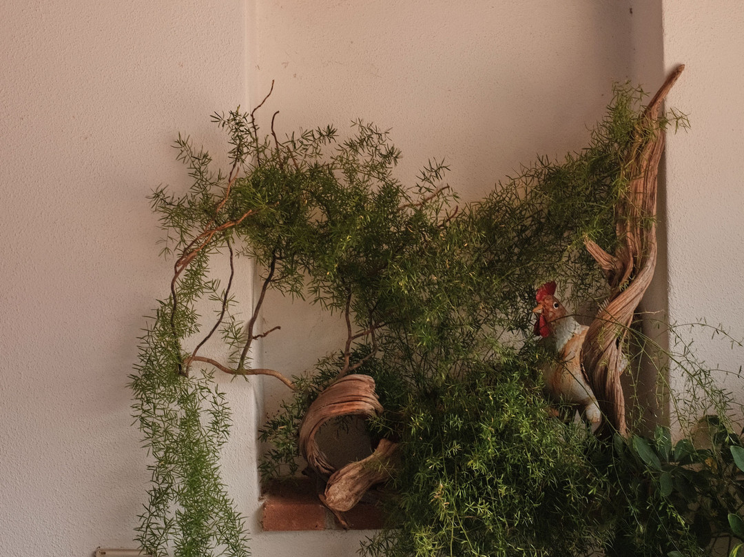 Agriturismo Guthiddai主图