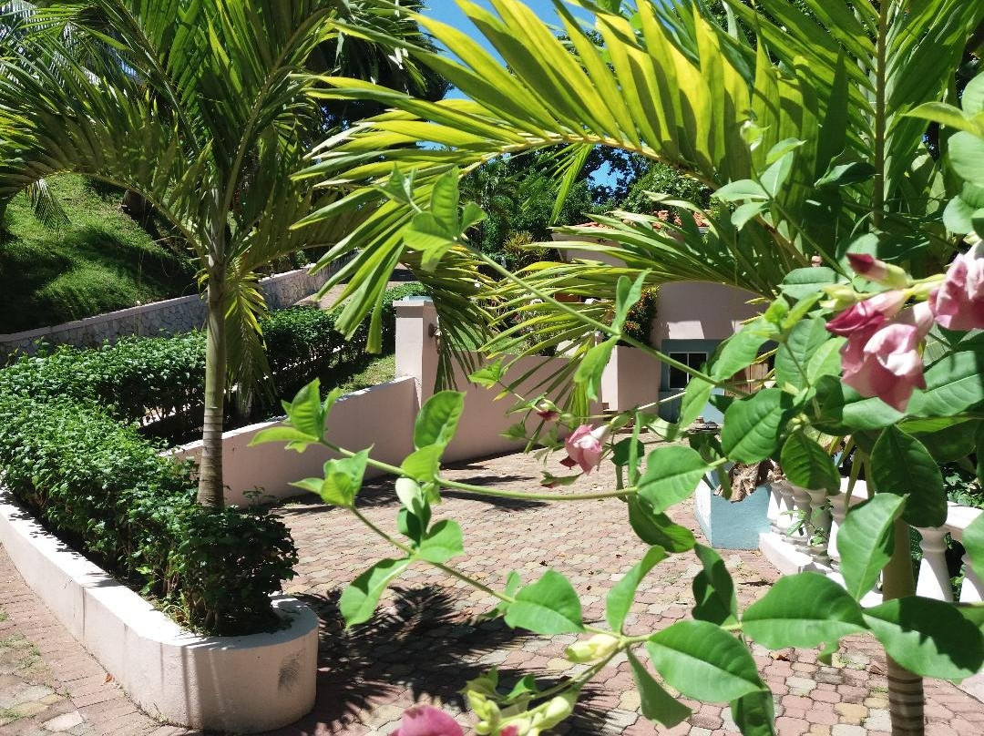 热带潟湖度假村主图