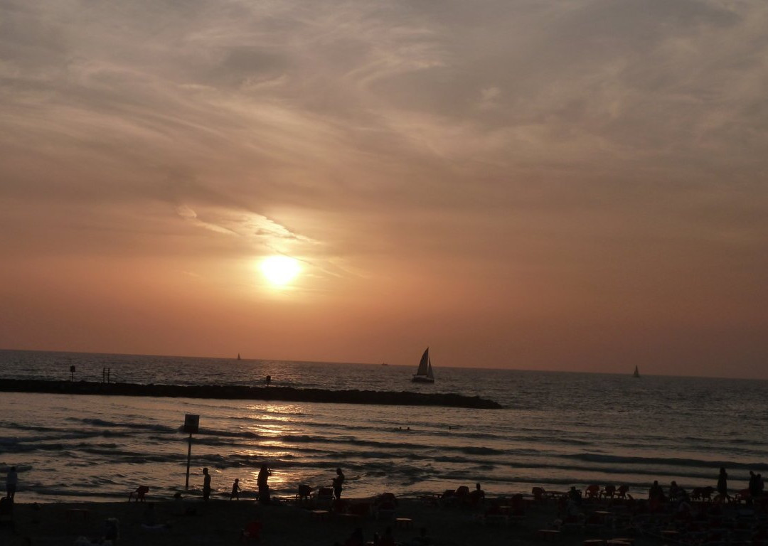 Bograshov Beach景点图片