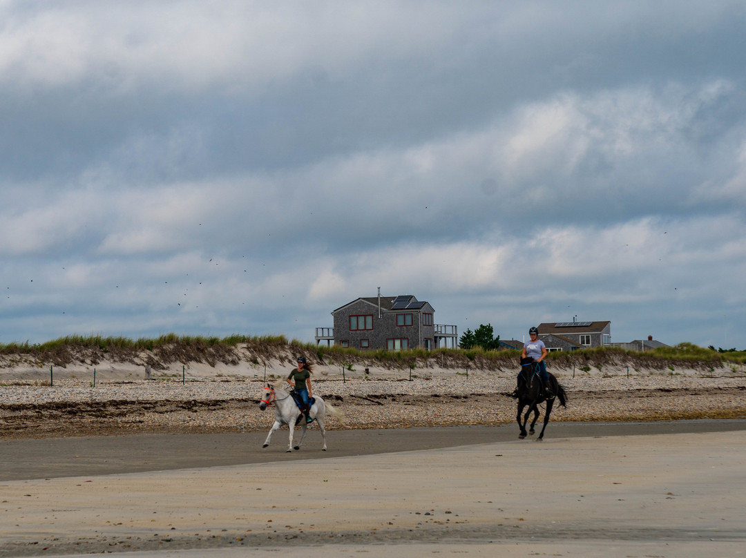 Long Beach景点图片