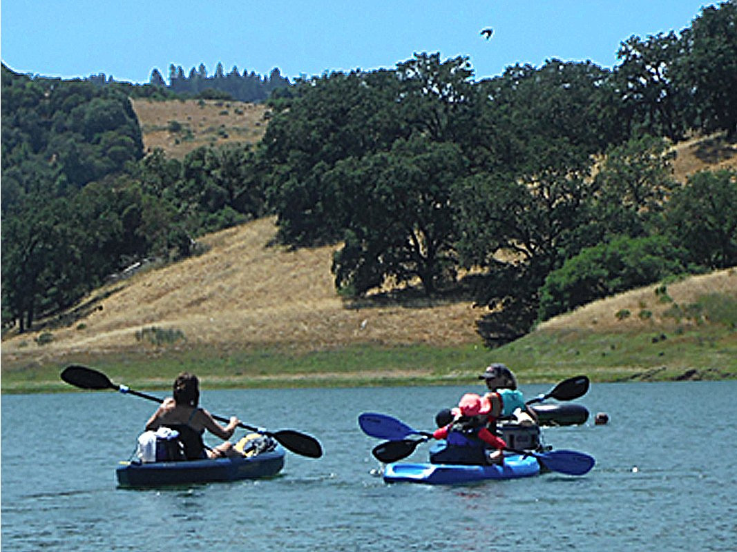 You Can Kayak Rentals景点图片