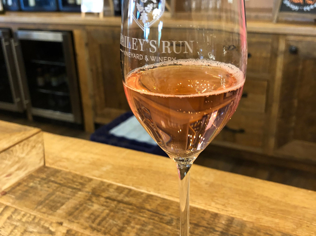 Bailey's Run Vineyard & Winery景点图片