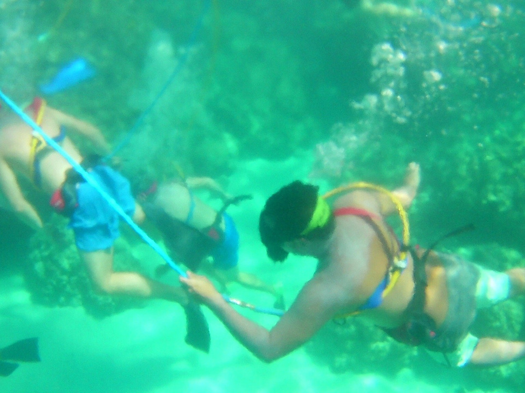 Kona Kayaks-库克船长必去景点