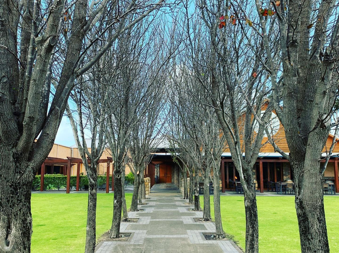 Cheers Scenic & Winery Tours景点图片