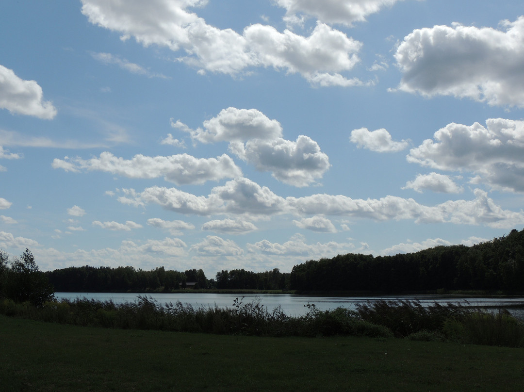 Promenade Around The City Lake景点图片