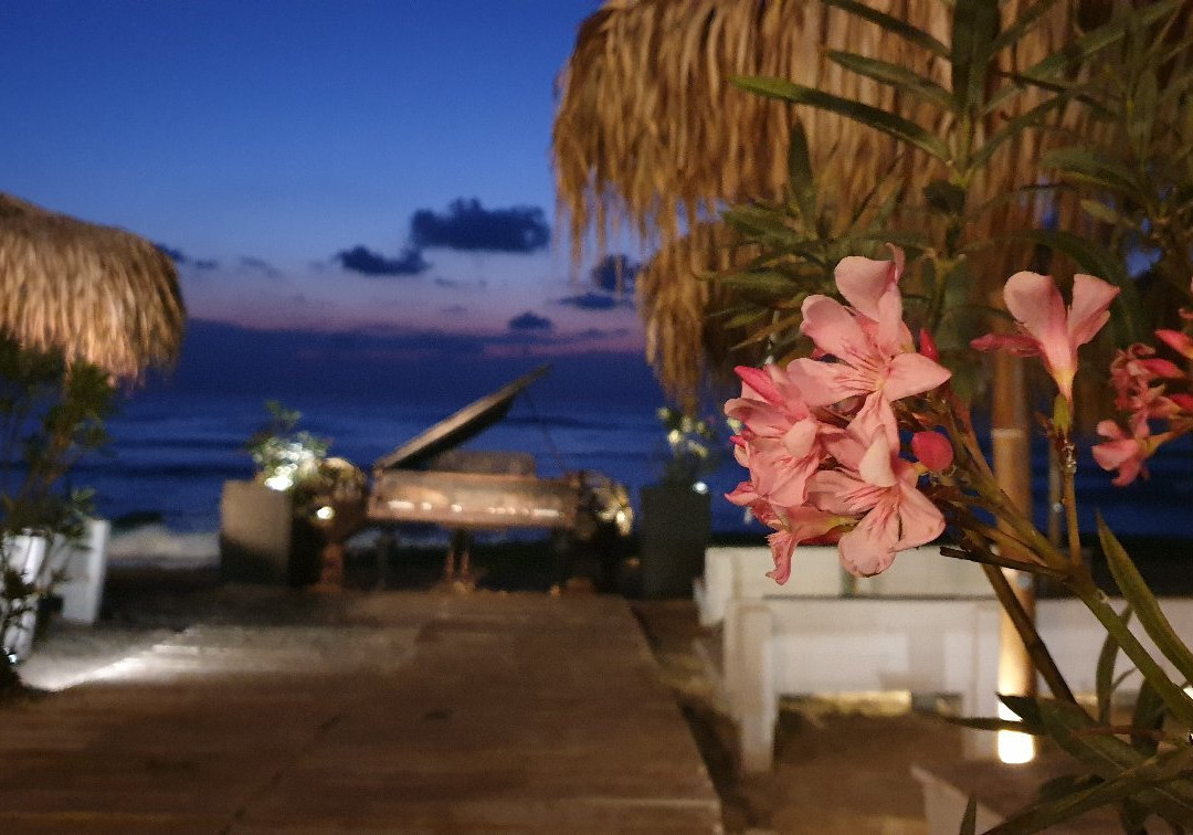 Yuva Beach bar-Vama Veche必去景点