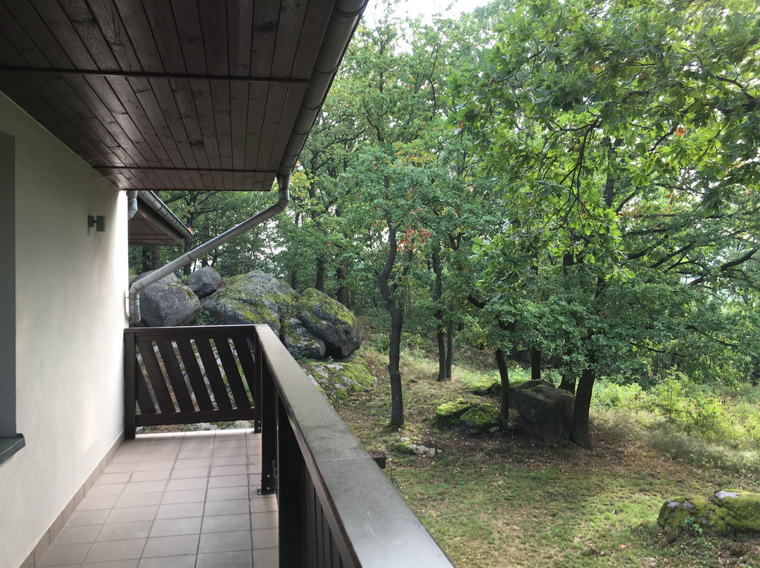 Idar Apartamenty主图