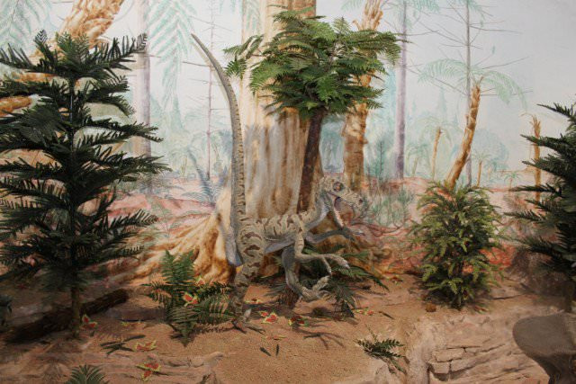 Museo Paleontologico景点图片