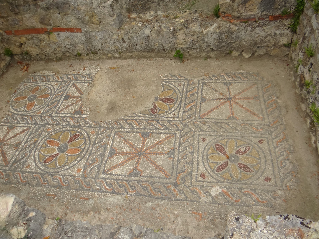 Montmaurin Archaeological Site-Montmaurin必去景点