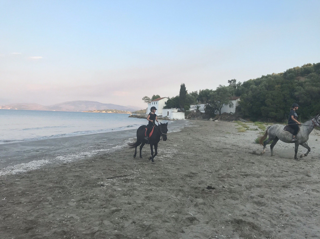 Arena horse riding corfu景点图片