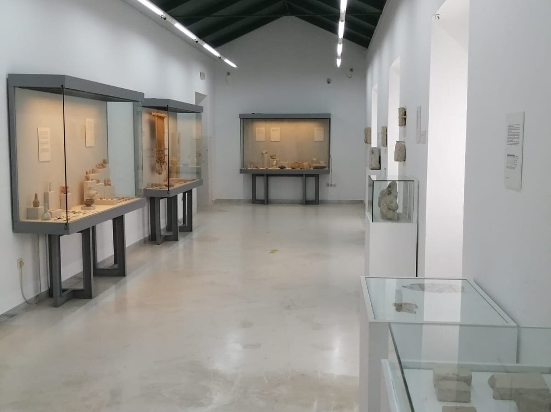 Museo Arqueológico Padre Martín Recio景点图片
