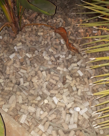 Os Tres Macacos-费拉古多必去景点