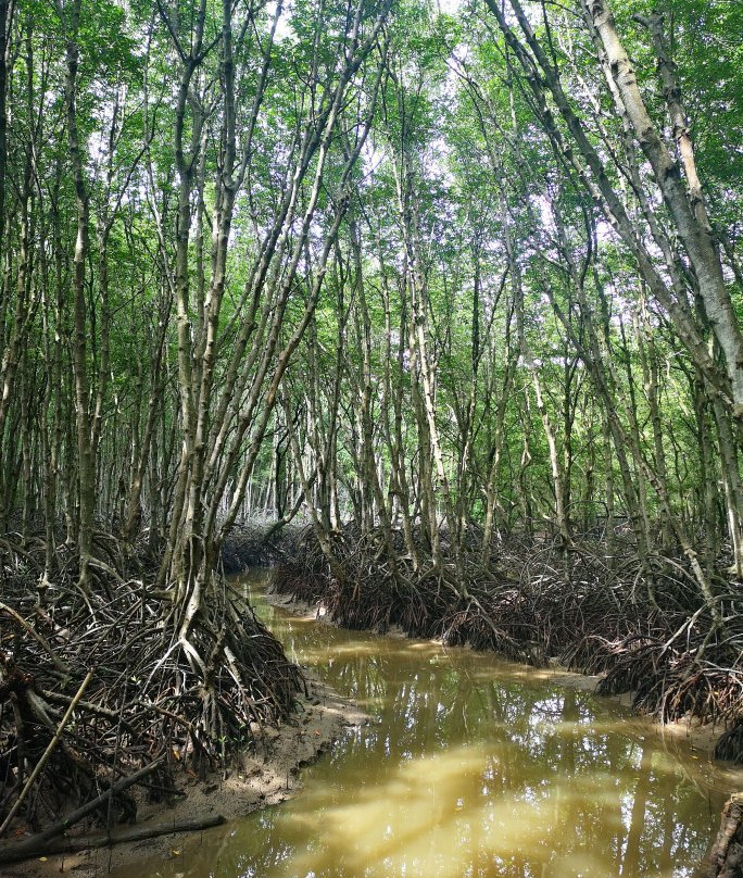 Rung Sac Military Base-胡志明市必去景点