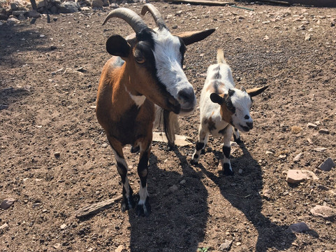 La Ferme De Padula-维琪奥港必去景点