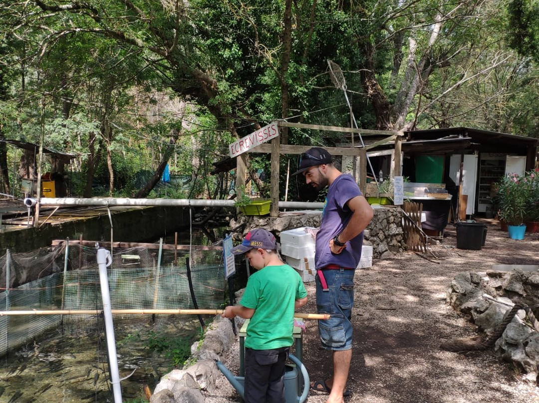 Pisciculture de Signes / Les sources du Gapeau-Signes必去景点