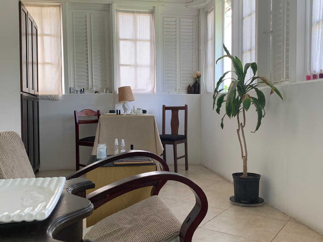 Baje Spa-Hastings必去景点