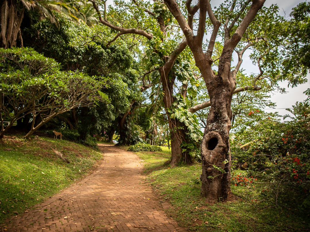 Kuboboyi River Lodge主图