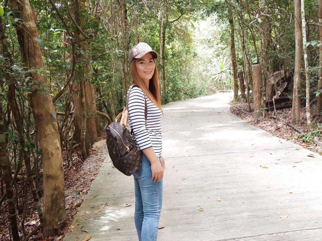 Wat Pa Phu Pha Sung景点图片