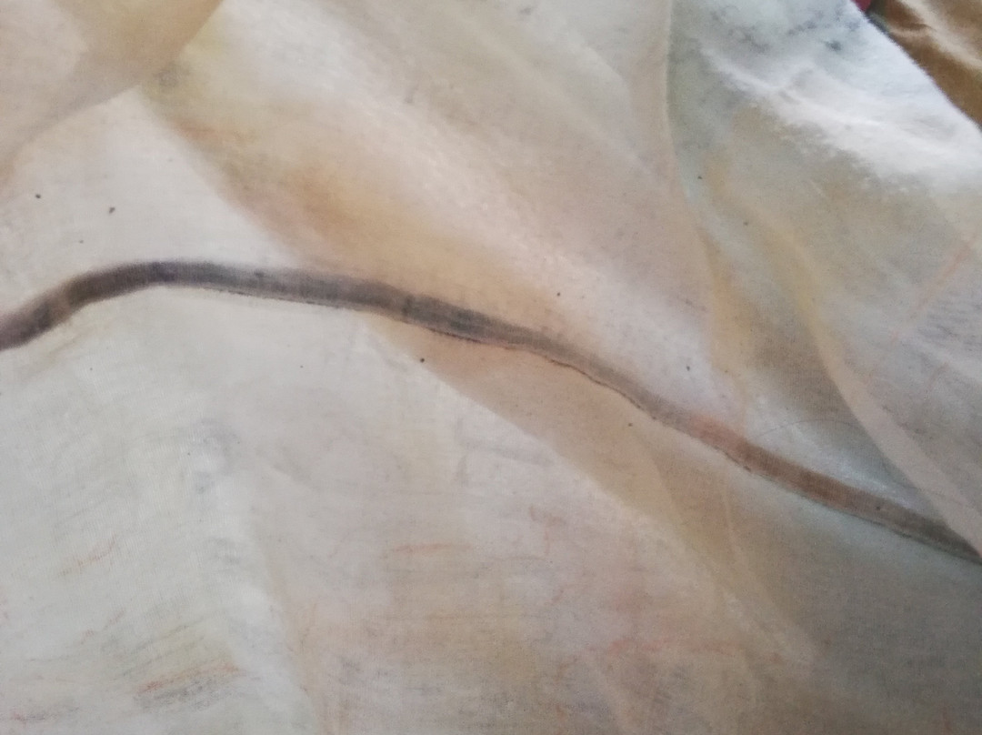 Killyon Guest House主图