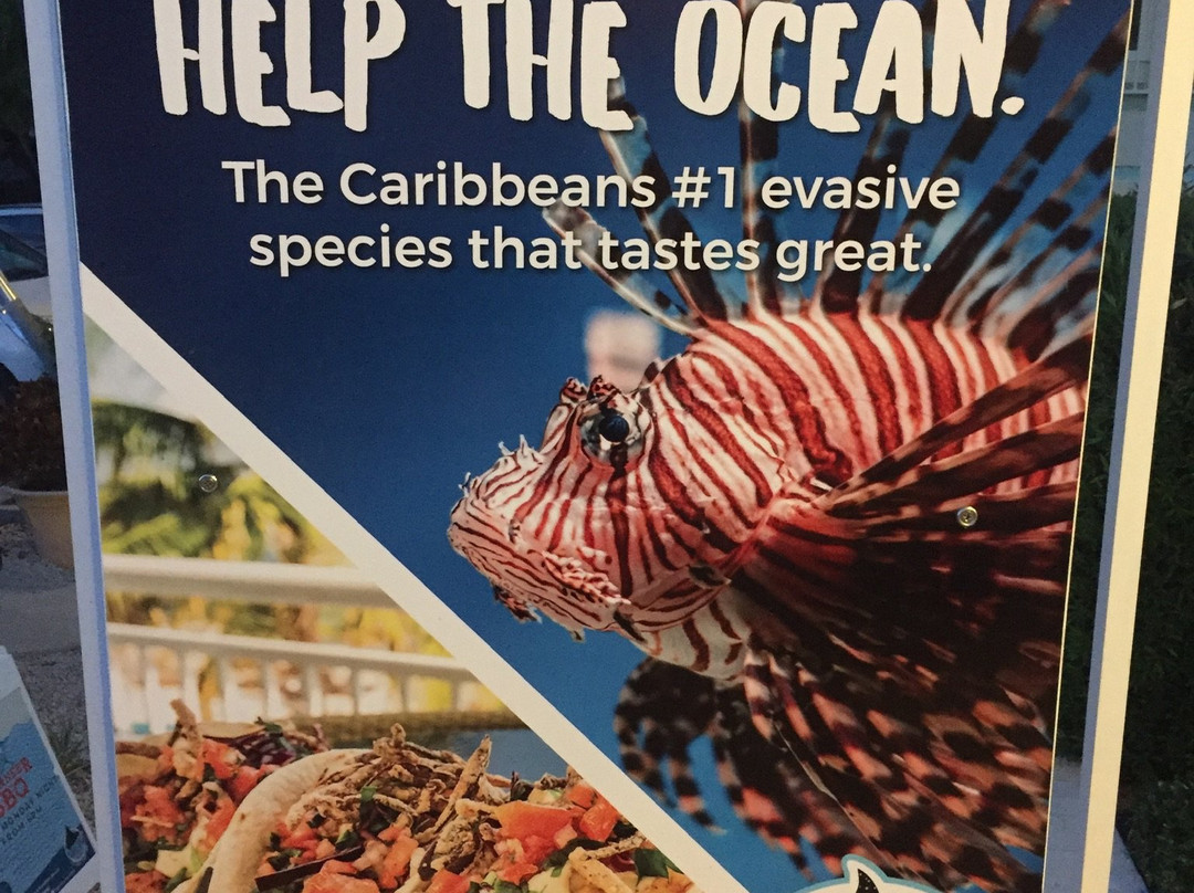 Compass Point Dive Resort主图