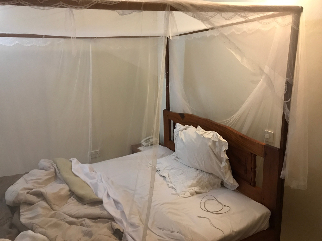 Raja Excelsior Hotel主图