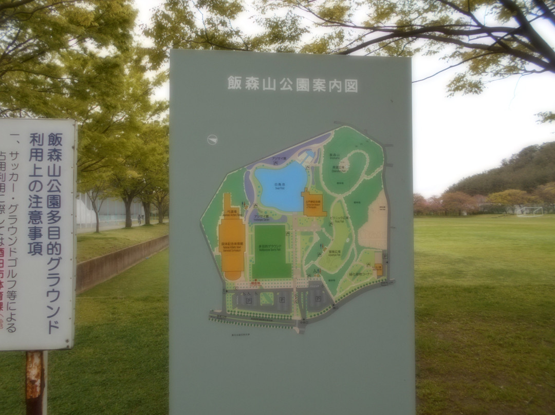 Iimoriyama Park景点图片