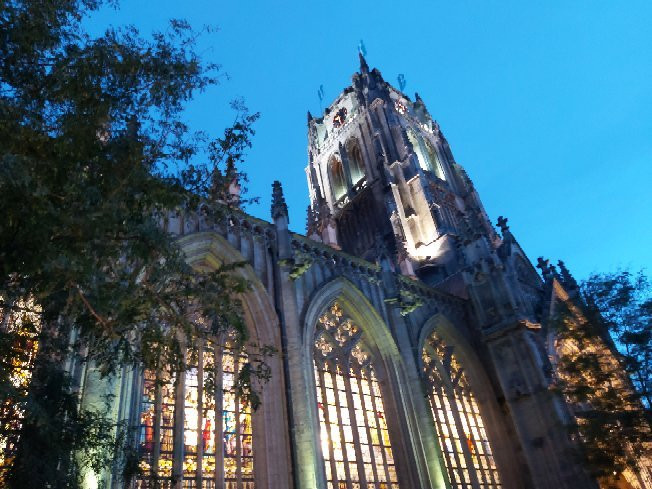 Basilique Notre-Dame De Tongres景点图片