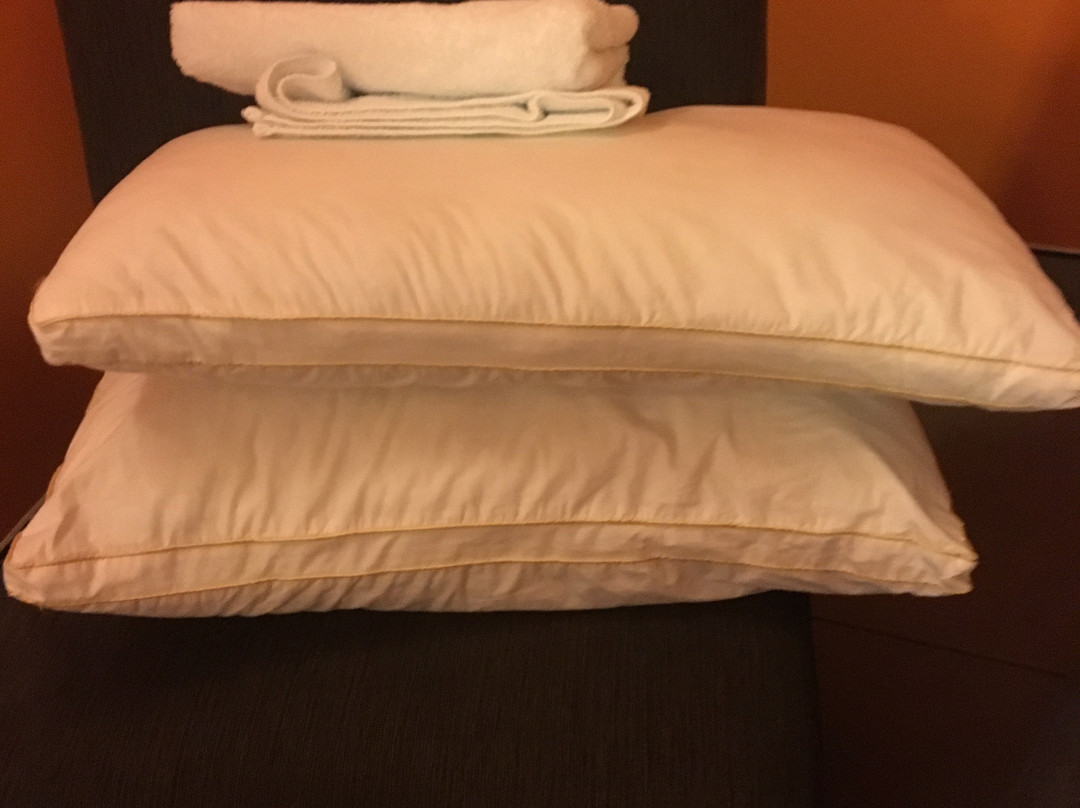 自由平野汽车旅馆主图