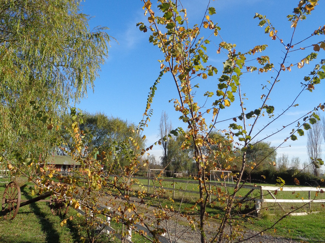 Granja Museo Dona Rita-奇廉必去景点