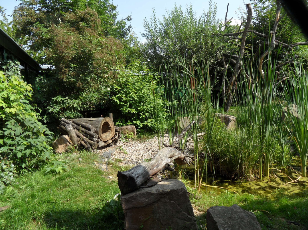Wildkatzendorf Hütscheroda-Hoerselberg-Hainich必去景点