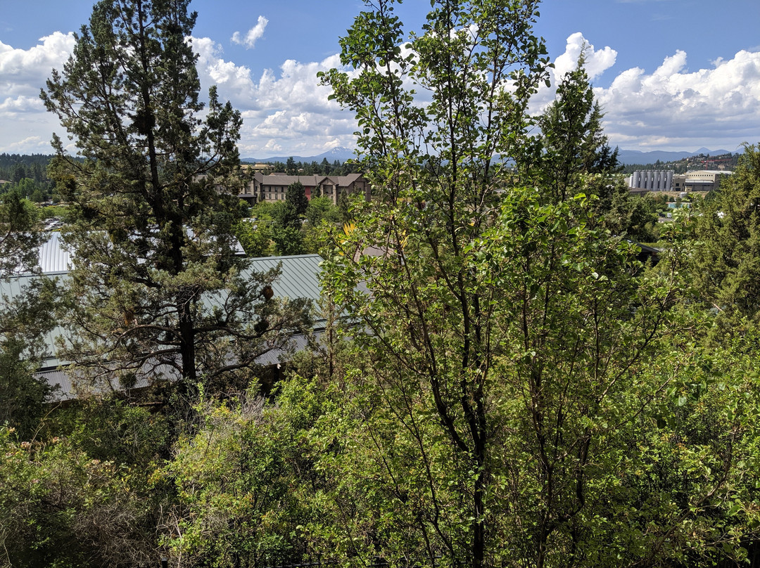 Hilton Garden Inn Bend主图