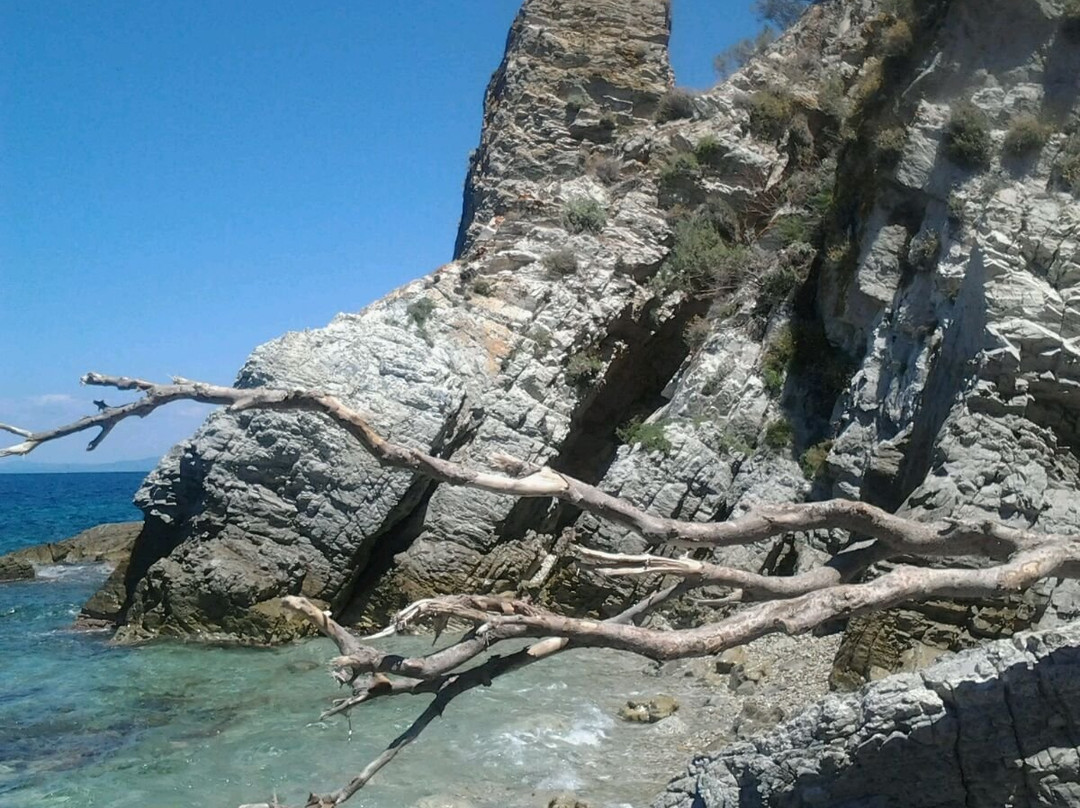 Spiaggia di Seccione景点图片