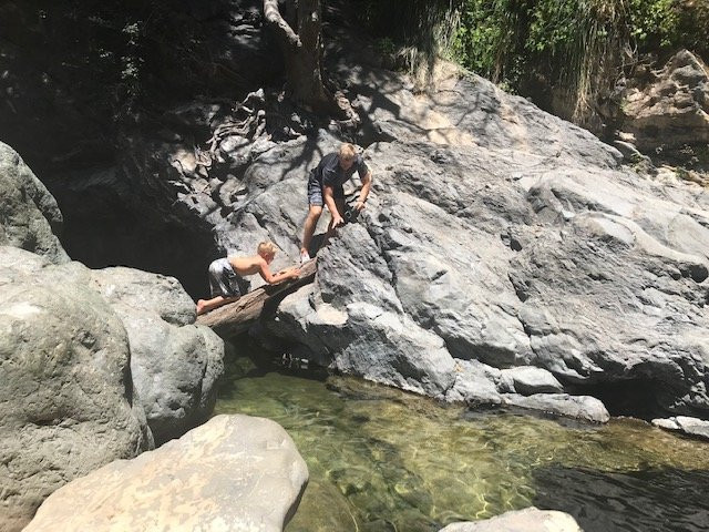 Salmon Creek Falls Trail-大苏尔必去景点