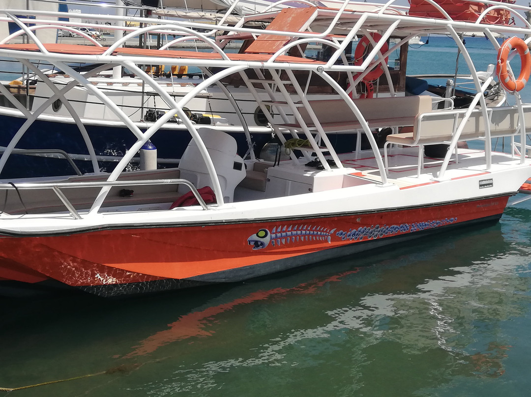 Bakaliaros Boat Cruises