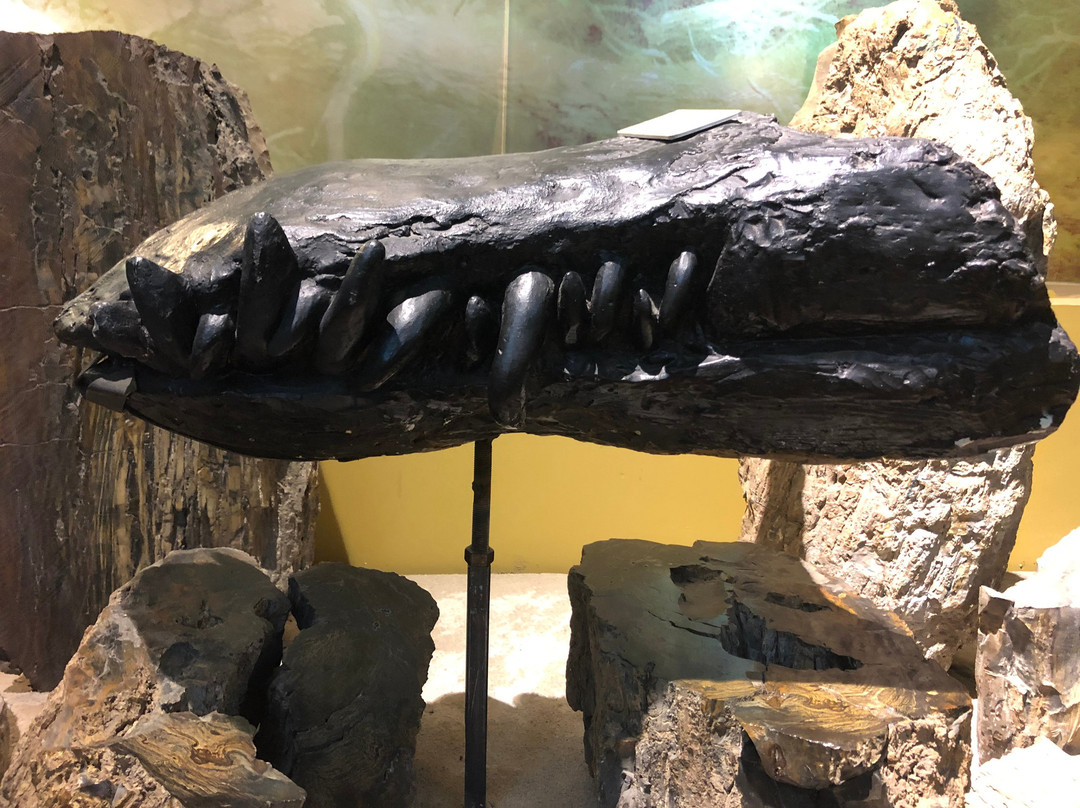 Museum of Archeology of RSE Gylym Ordasy-阿拉木图必去景点