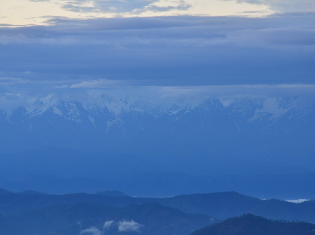 Pailaaag orchard & Restaurant主图